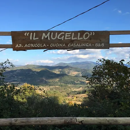 Il Mugello B&B-2